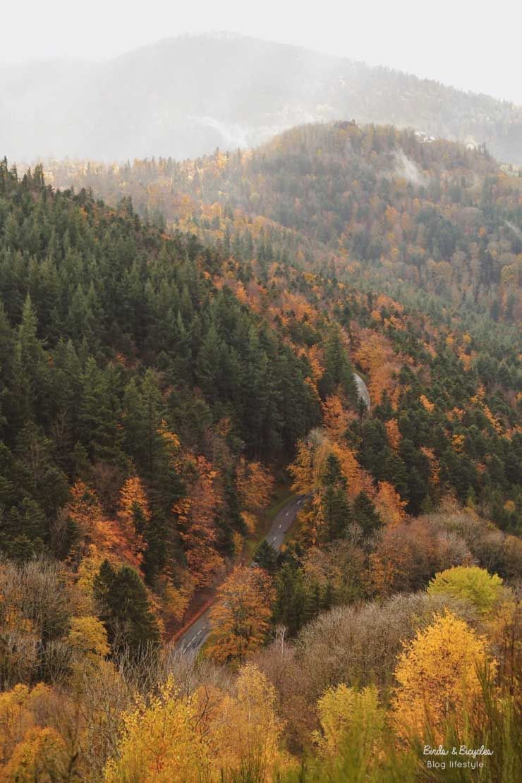 paysage vosges automne